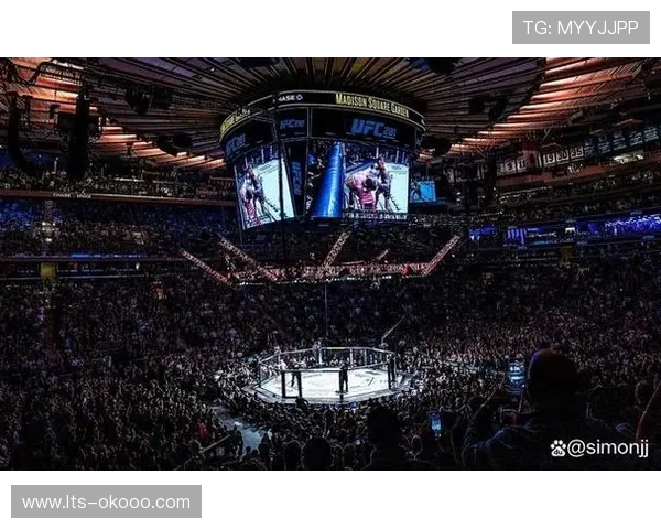 UFC282期赛事变动对轻量级格局影响